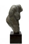 Torso