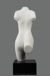 Torso Vrouw